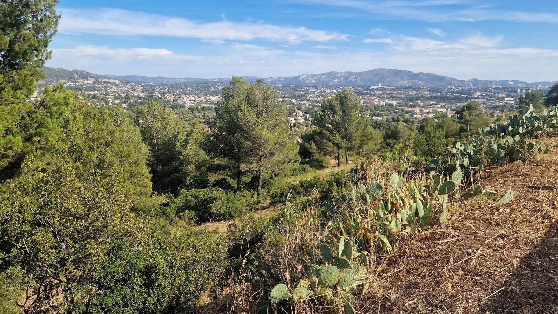 Holiday home Le Cocon Marseillais Villa Marseille